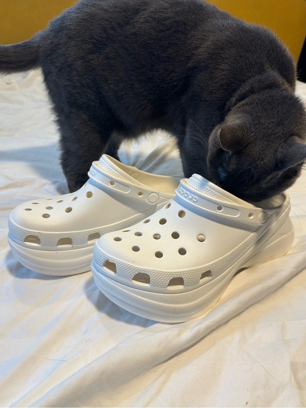 CROCS Bae - Picture 2 of 10